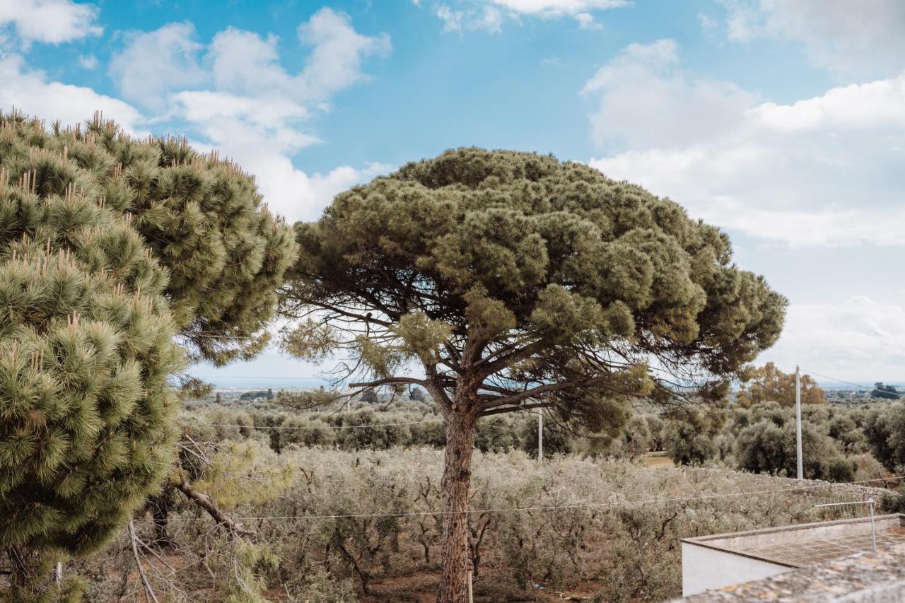 Masseria Casamassima Agriturismo Ostuni Luaran gambar