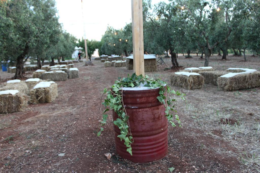 Masseria Casamassima Agriturismo Ostuni Luaran gambar